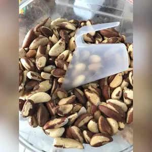 Castanha-do-pará a granel com pá dosadora